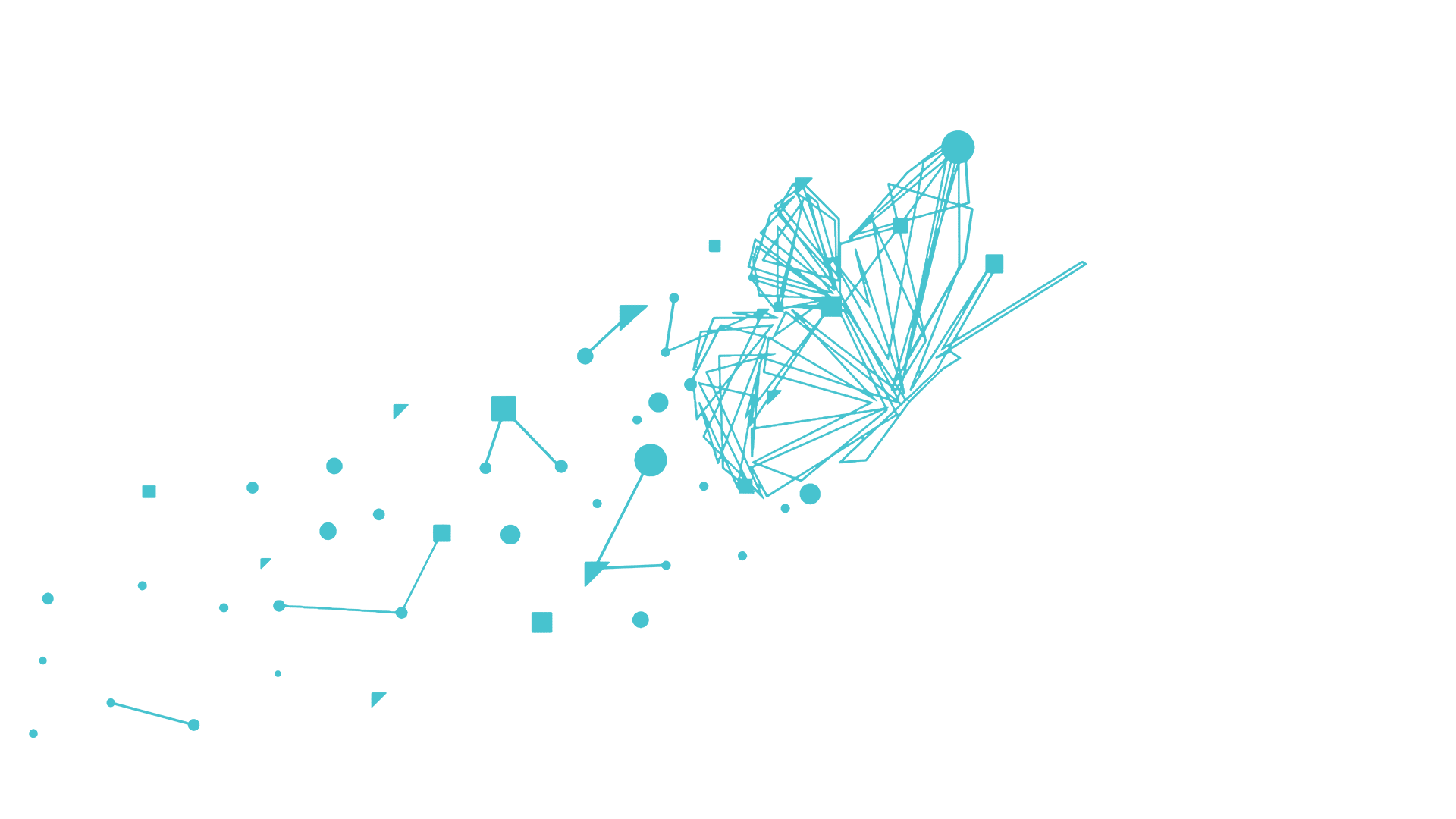1920x1080_Progressive_Screen_Butterfly
