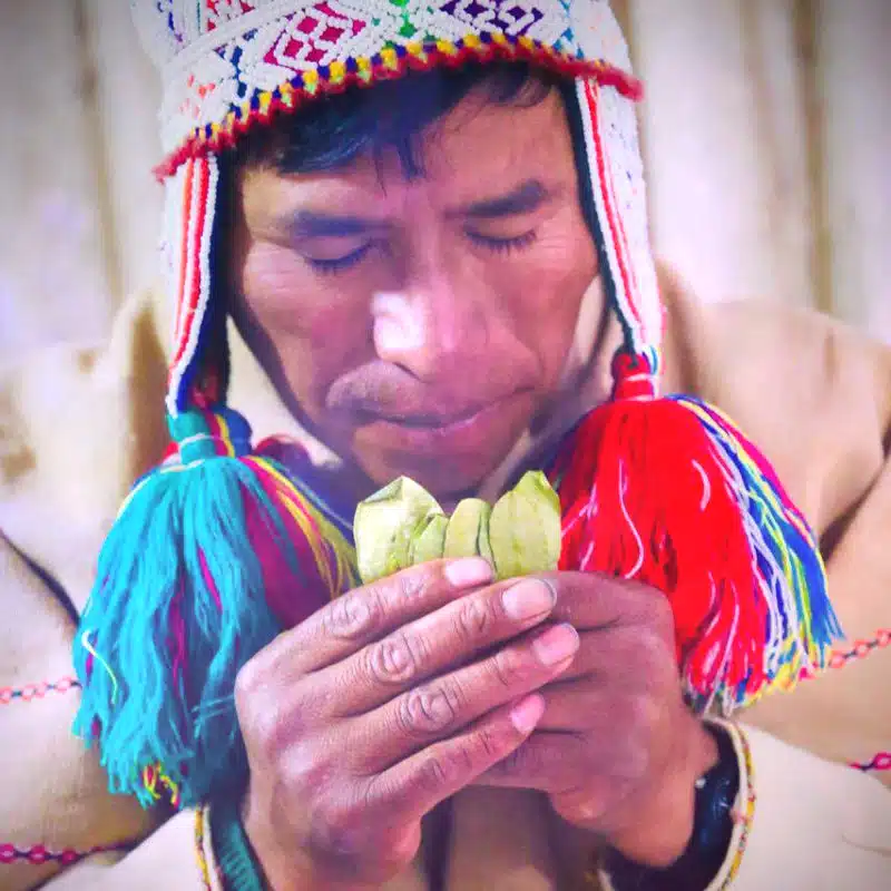 Shaman-with-leaves