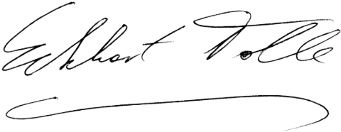 toe-de-k7-Eckhart_Signature
